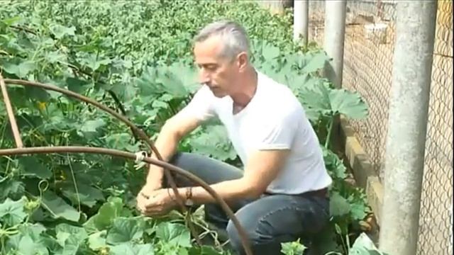 Кто виноват?