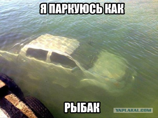 Отомстили за клумбу