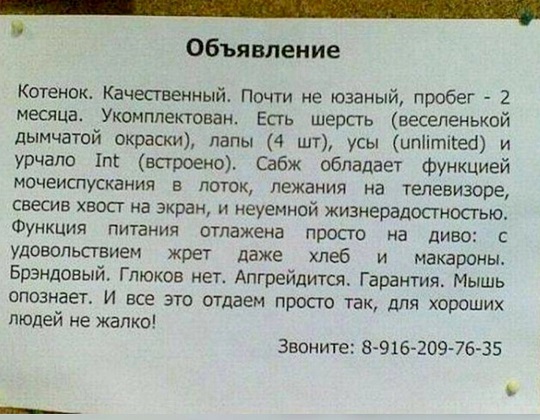 - Давайте я вам переведу