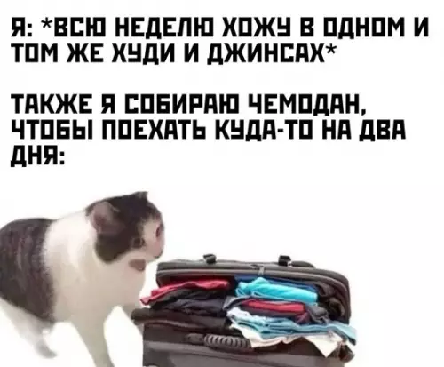 Картиночки, баянчики 19 февраля