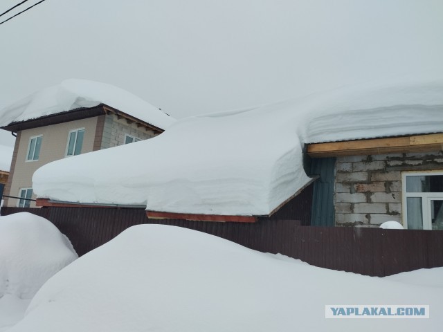 И наглухо заварить?