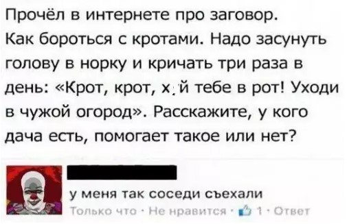 Картиночки, баянчики 16 марта