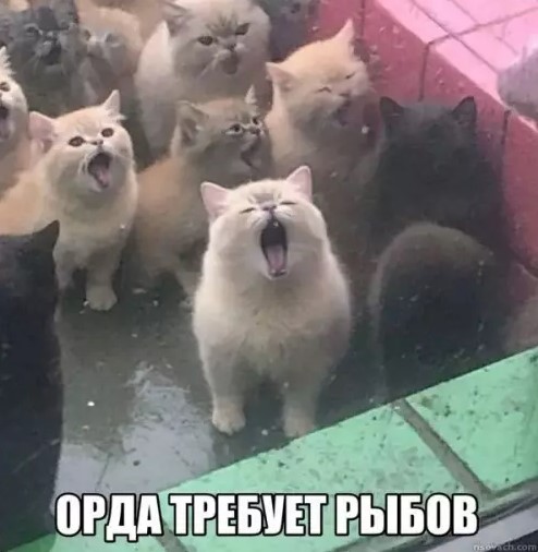 Пакет брать будете?