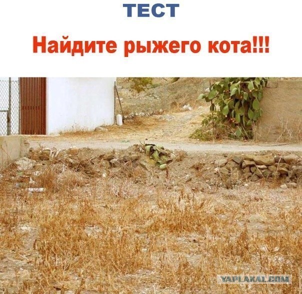 Подруга обыскала весь дом, не могла найти...