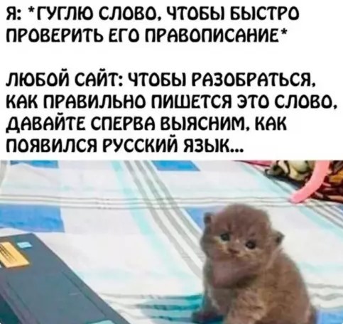 Картинки для деградации 252 (разной степени свежести)