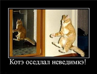 Почти как настоящая левитация
