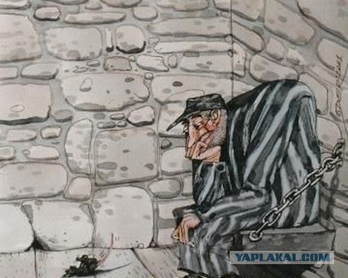 Фильтруй базар