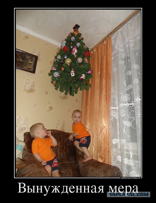 Весёлое из сети