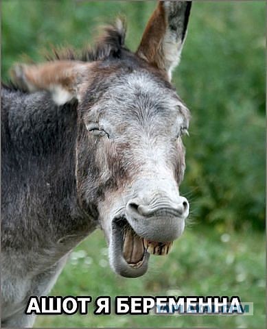 Фотки из инетов