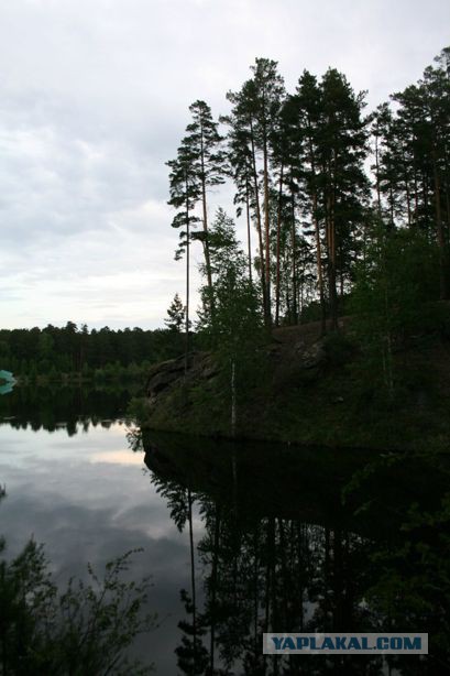 Самые красивые деревья в мире