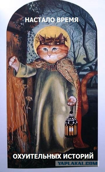 Нарвалась на гинеколога-лесбиянку