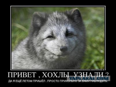 Петру Порошенко предложили переименовать Крым