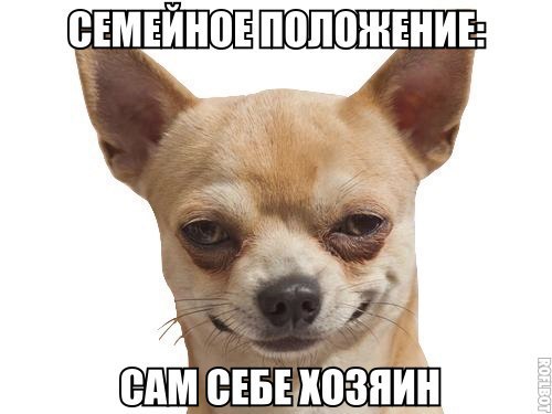 Немного юмора, заимствованного из сети