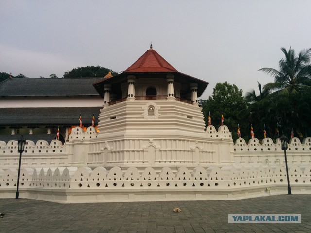 Самостоятельное путешествие в Шри-Ланку