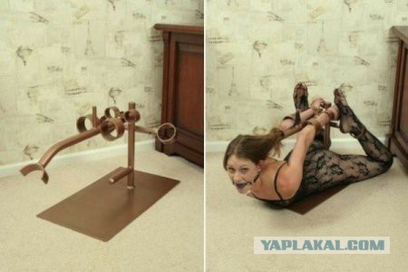 Веселые картинки