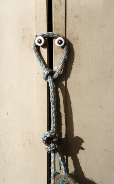 Они живые. Они смотрят на нас!