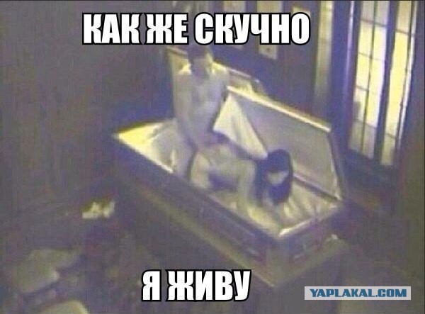 Порция картинок из сети