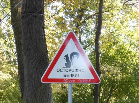 Выкиньте ваши мимиметры!