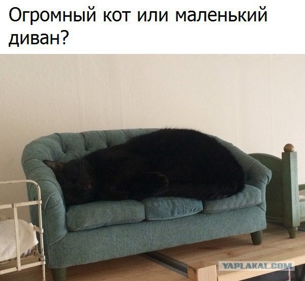 Подборка картинок