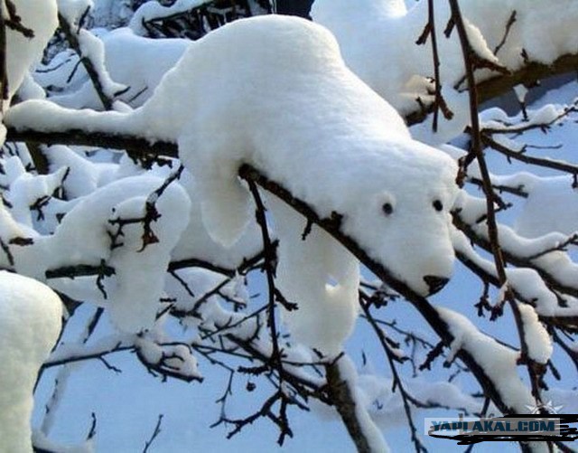 18 зимних картинок