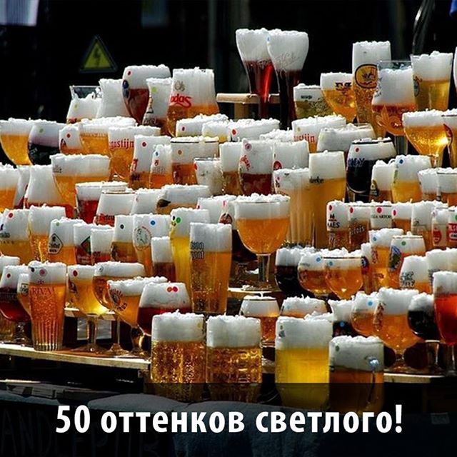 Итоги проверки пользователей