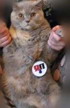 С Днем Рождения, ЯП! 14 лет