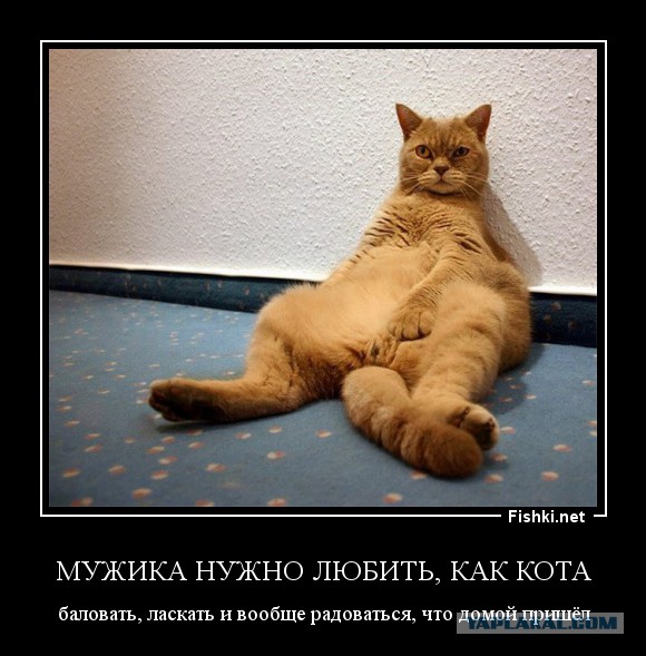 Женщины специально гнобят своих мужей!