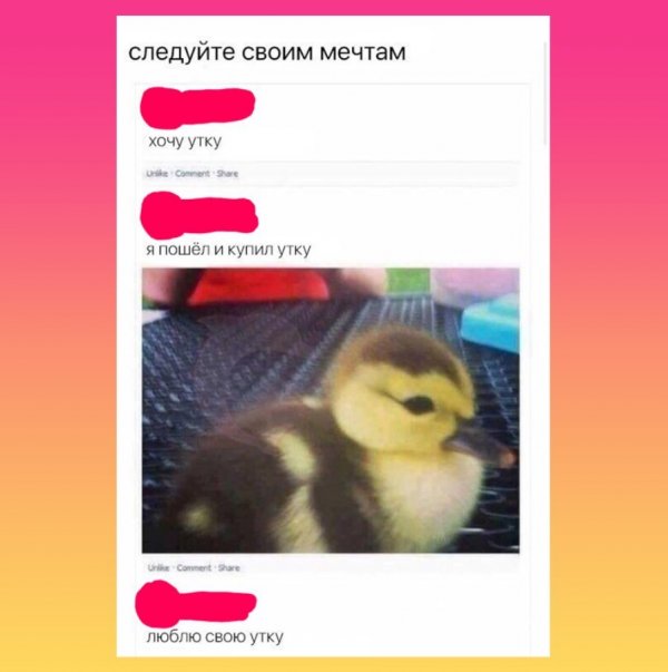 Утка мем. Утка мемы. Приколы про утку. Утка шутка. Уточка Мем.