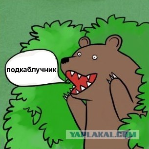 Девушки, какого хрена?!