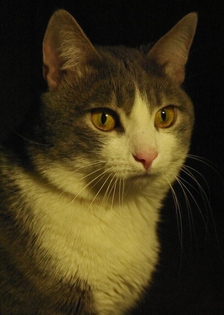 Суперфотоаппарат