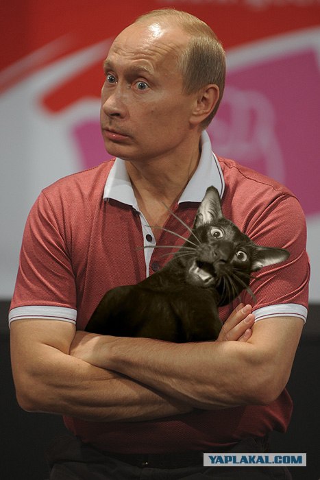 Удивленный Вова