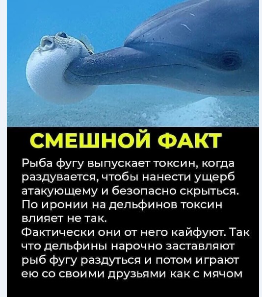Картинки и мемы для настроения 019
