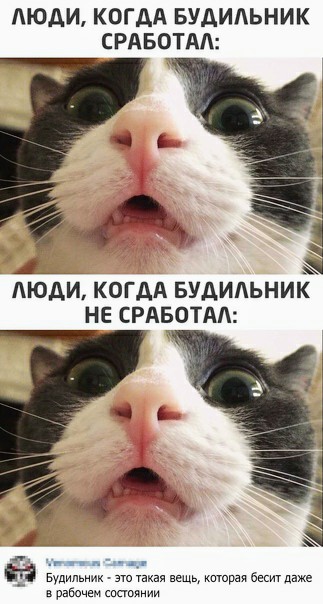 Картинки и мемы для настроения 008