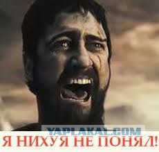 Стрельба на стрелке В.О.