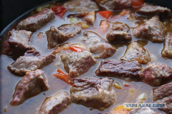 Фасоль – International, Или «Веселые нотки»