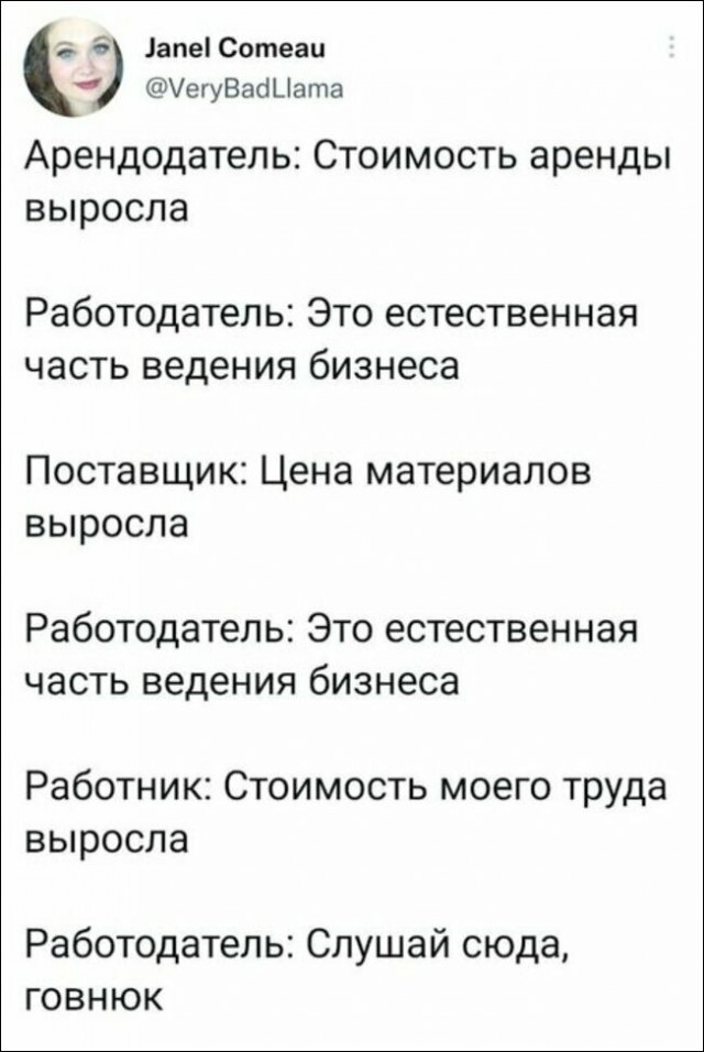 Человек собаке друг и другие картинки под настроение 13.01.2022