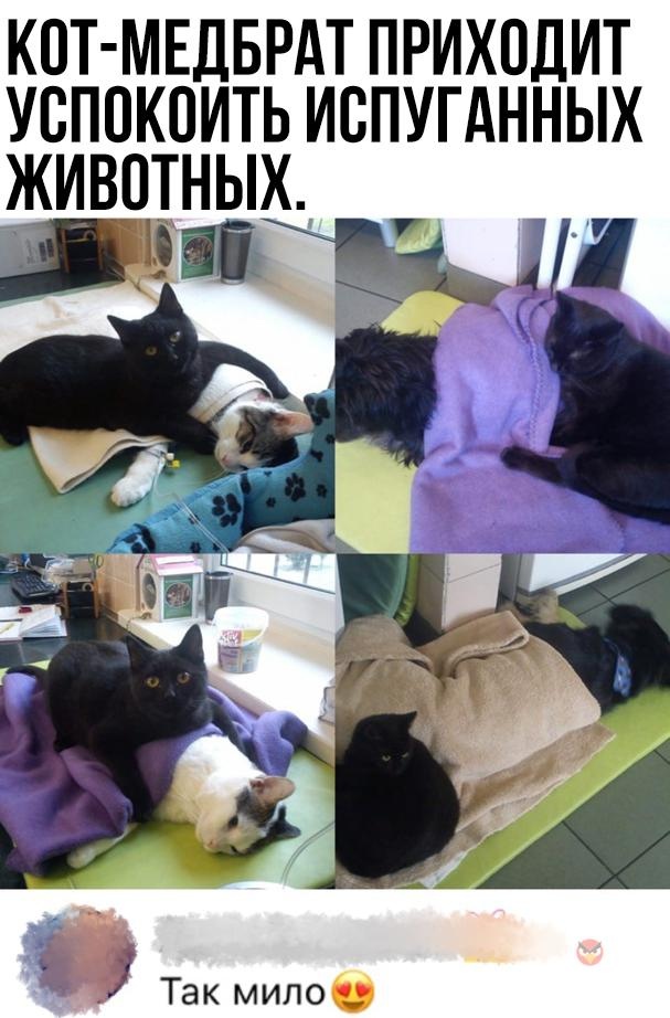 Так себе картинки 14.04.22