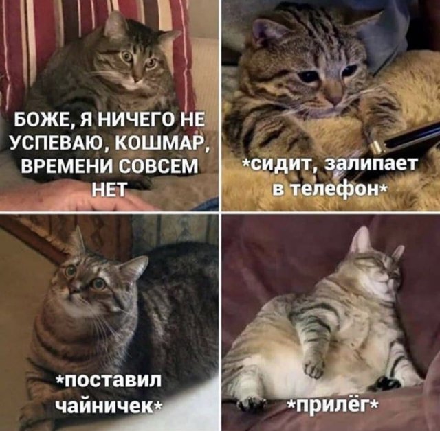 Весёлый полтишок 16.09.22
