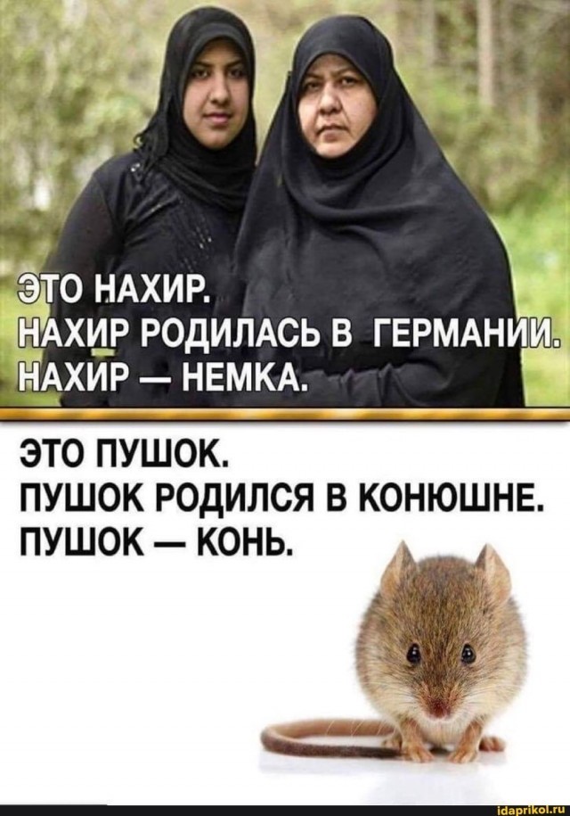 Потасовка в детской комнате в Германии
