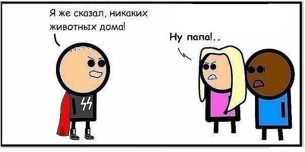 Чёрно-пошлый вторник