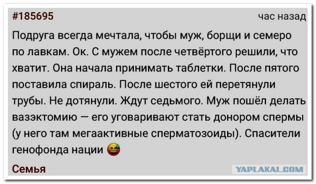 Забавные комментарии из социальных сетей (24.04.23)