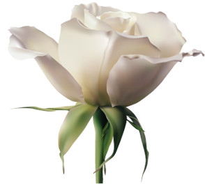 "Пятак-2023". Итоги