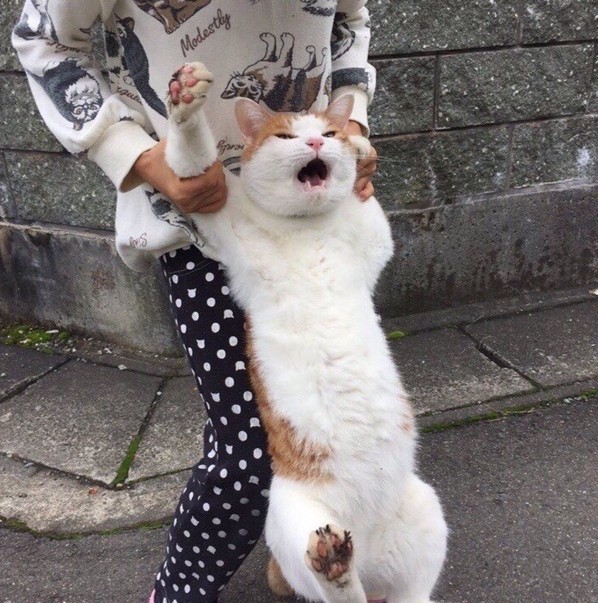 Пятничное