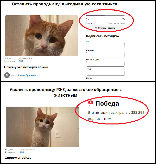 В отношении проводницы возбудили уголовное дело
