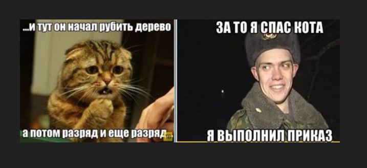 Спасите котика