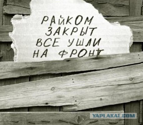 «Остается выкрасть математичку из соседней школы». Отец девятиклассника — о дефиците учителей