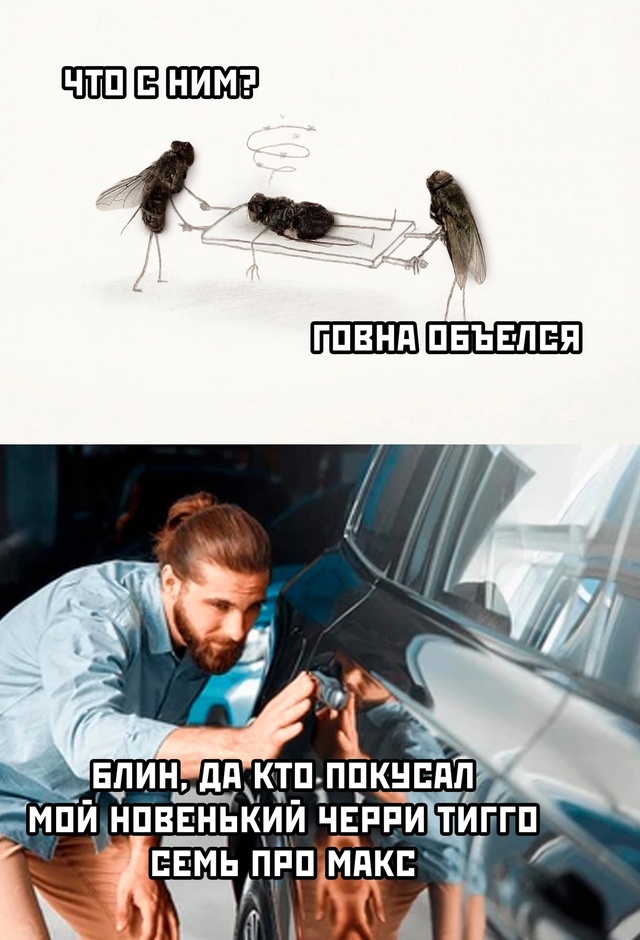 Весёлый полтишок 16.02.25