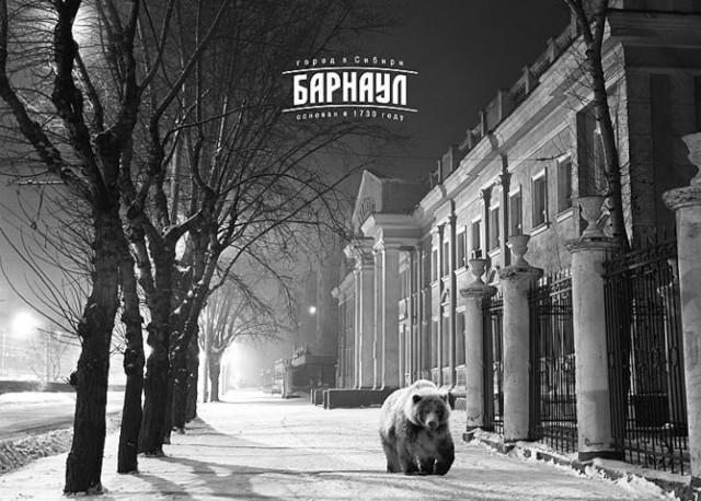 Мой любимый Барнаул