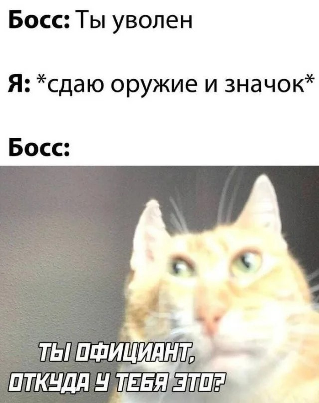 Юмор для тех, кто уже повзрослел и понял, что счастье — это когда никто не звонит