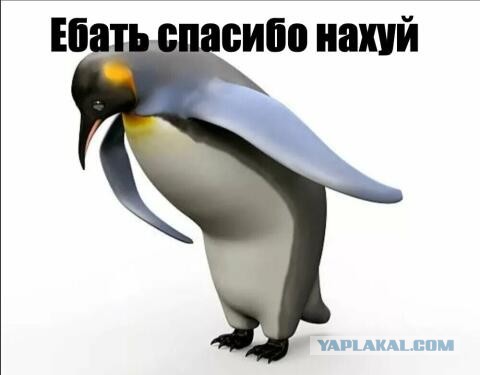 Государство, государство..